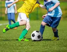 李佳琦豪掷,包机,携爱犬海南,金宝博188bet体育官网,APP下载,注册领彩金,官方网站,网站入口